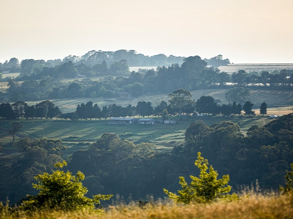 Borrodell Vineyard