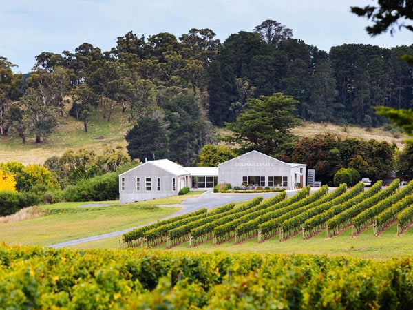lush greenery surrounding Colmar Estate in Orange