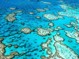 Great Barrier Reef, QLD