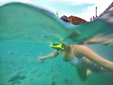 Snorkelling Moreton Island, QLD
