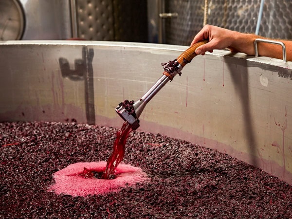 making grape juice using a traditional wine press at Ross Hill Wines