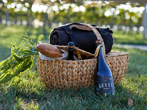 Picnic in the vines Rowlee Wines