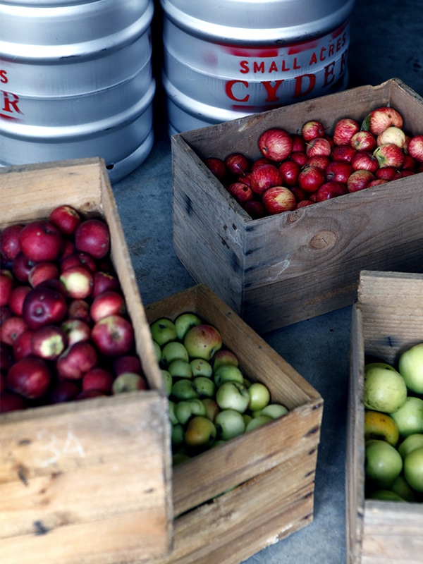 Crates of apples at Small Acres Cyder