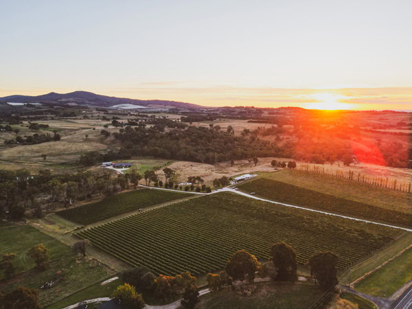 sunset view from the vineyard at Swinging Bridge Wines