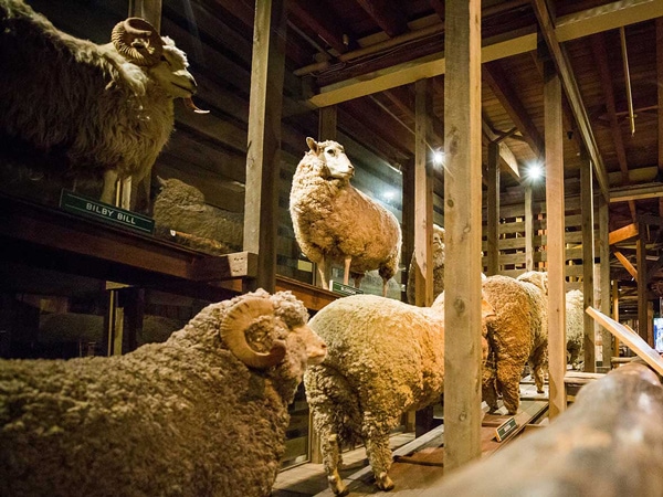 The National Wool Museum
