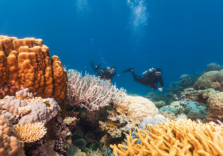 where to dive and snorkel Great Barrier Reef