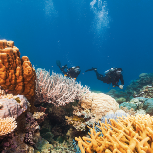 where to dive and snorkel Great Barrier Reef