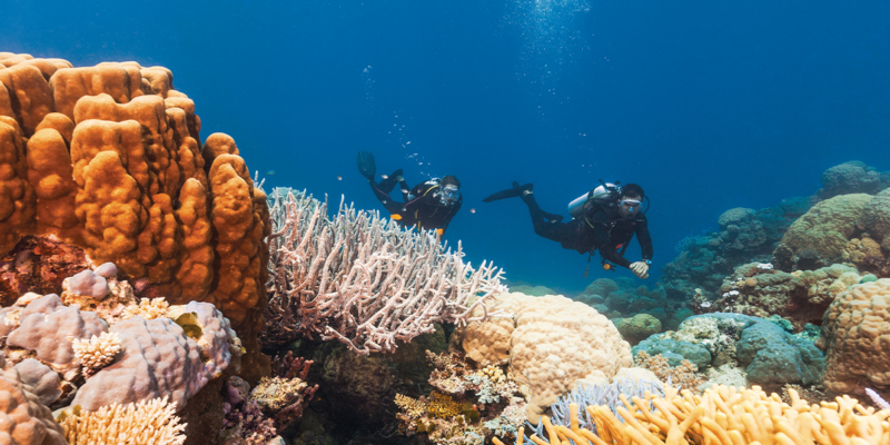 where to dive and snorkel Great Barrier Reef