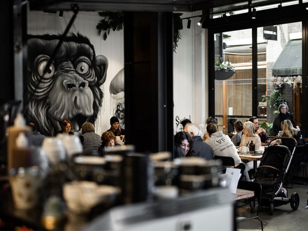 The Hungry Monkey in Bowral, NSW