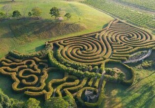 The best wineries and cellar doors in Port Macquarie