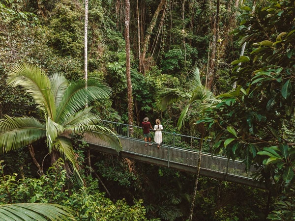 an aerial view of a couple standing on a hanging bridge at Daintree Discovery Centre