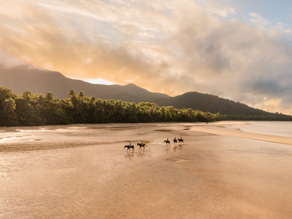 an aerial view of a guided horse-riding tour at Cape Tribulation