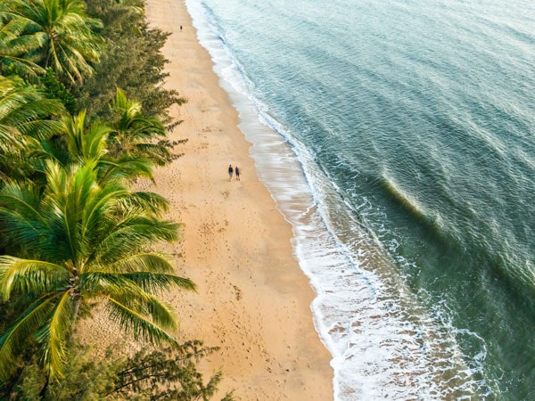 an aerial view of the beach in Palm Cove