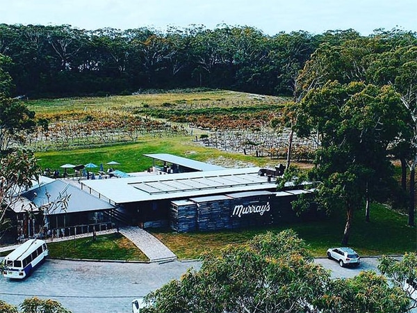 Murray’s Craft Brewery