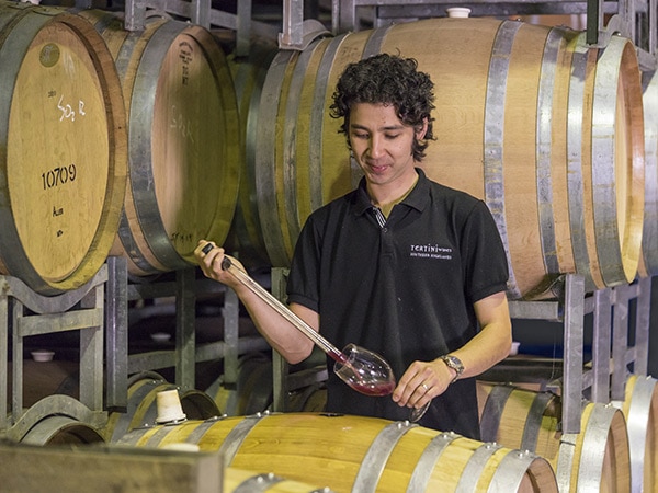 Tertine Wines