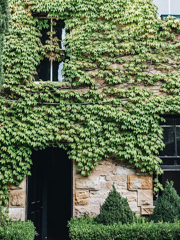 The Boston