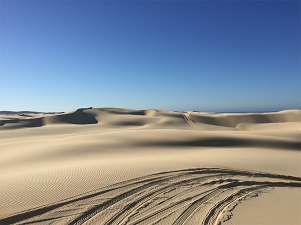 Port Stephens sand dunes