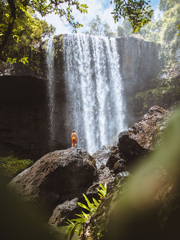 the Zillie Falls in Cairns