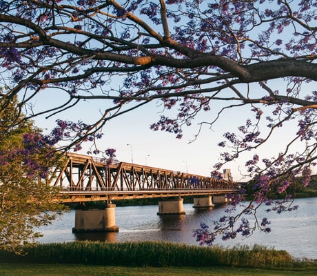 Grafton Bridge
