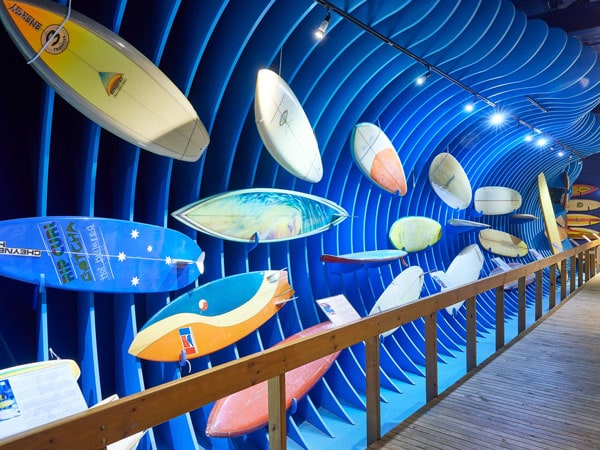 surfboards on a blue background at The Australian National Surfing Museum