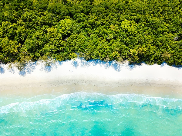 Cape Tribulation