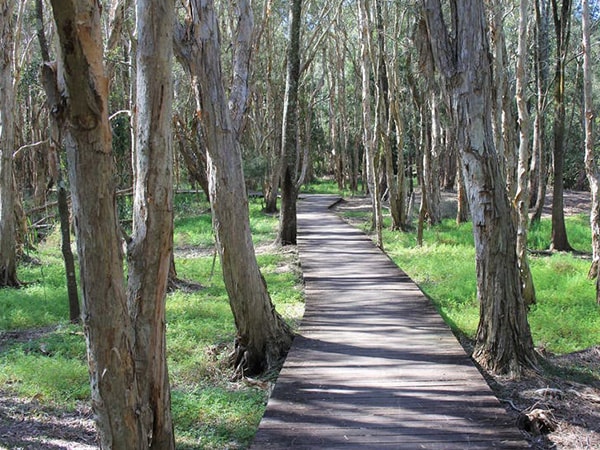 Kooloonbung Creek Walk