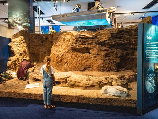 dinosaur fossil display at Museum of Tropical Queensland