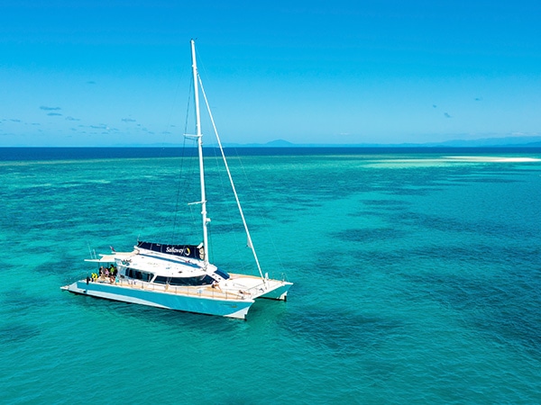 Sailaway Tours