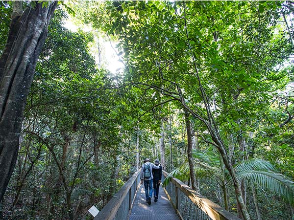 Sea Acres Rainforest Boardwalk