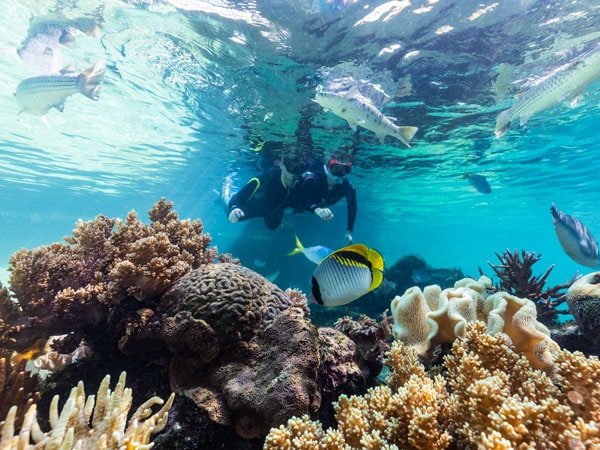 Daydream Island Resort, Great Barrier Reef