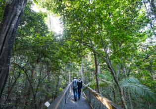 Port Macquarie walks and hikes