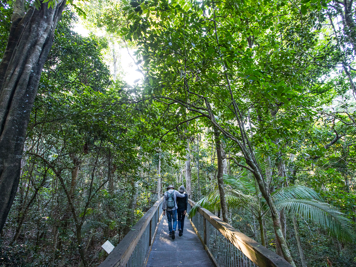 Port Macquarie walks and hikes