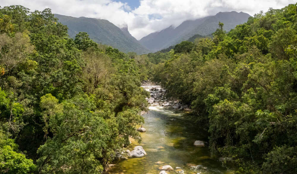 an aerial view of the Daintree River