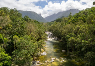 an aerial view of the Daintree River