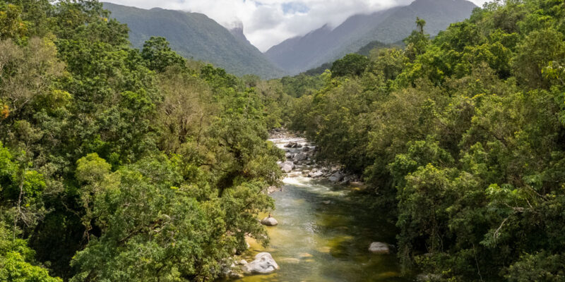 an aerial view of the Daintree River