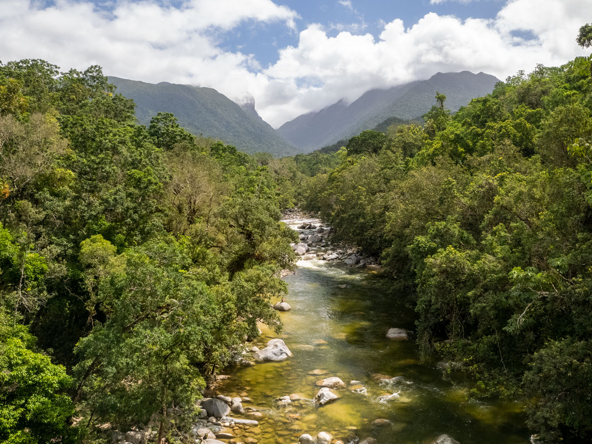 an aerial view of the Daintree River