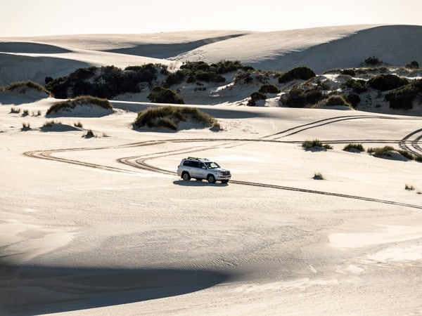 Drive the snow-shite dunes of Yeagarup