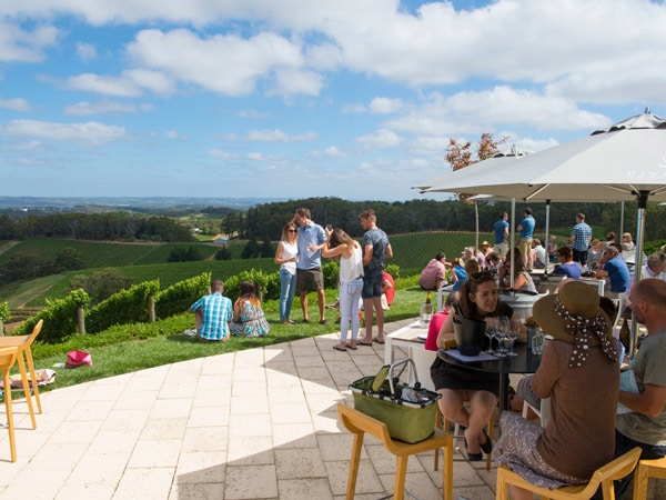 Crush Festival at Pike and Joyce Wines 