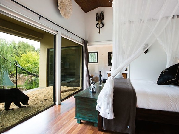 Jamala Wildlife Lodge