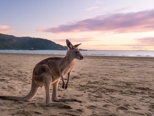 Cape Hillsborough National Park