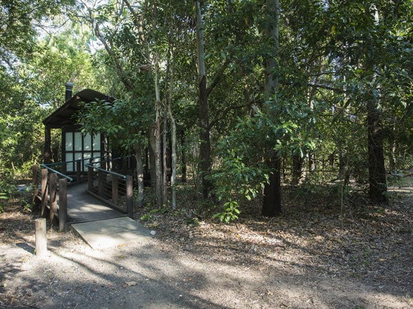 Smalleys Beach campground in Cape Hillsborough National Park