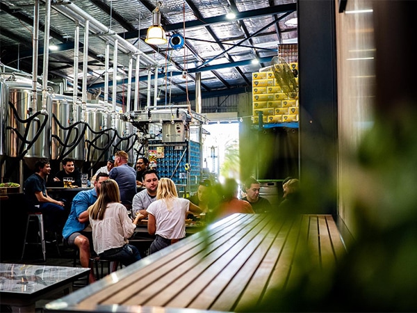 Six String Brewing co