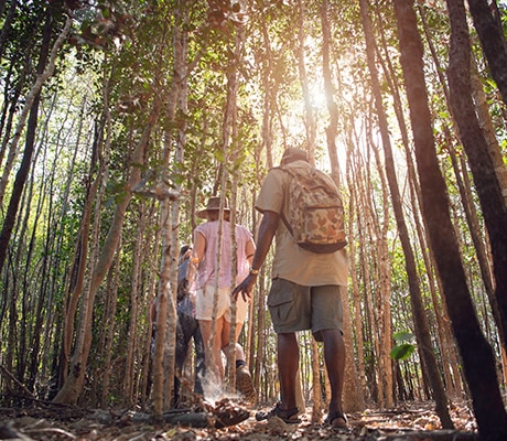 Ayal Aboriginal Tours