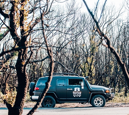 Cape Conran post bushfire, East Gippsland