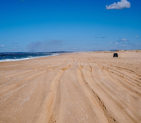Stockton Bight Sand Dunes, Port Stephens