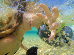 Leanyer Recreation Park