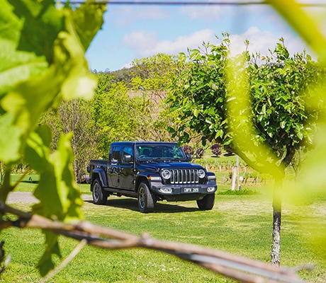 Jeep driving through Hunter Valley