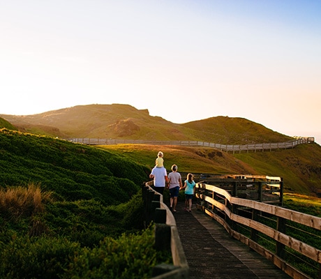 Nobbies, Phillip Island
