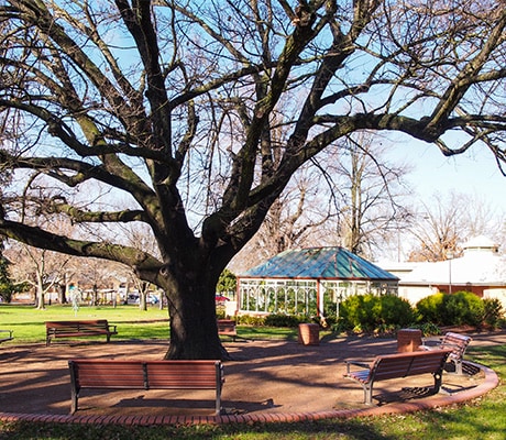 Why you will love Goulburn’s golden shopping mile