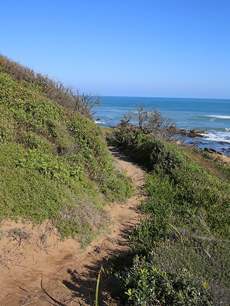 West Cape trail, East Gippsland